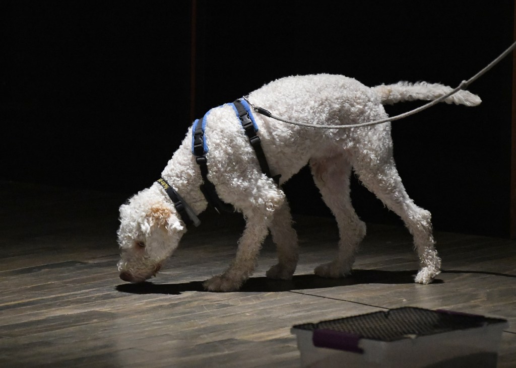 What You Don’t Understand About the Buried&nbsp;Element