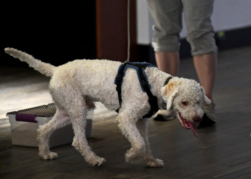 What You Don’t Understand About the Buried Element (Part&nbsp;Two)