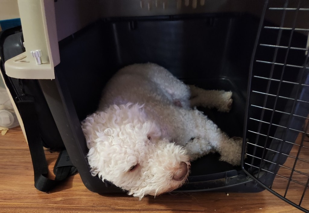 How to Get Over the NQ&nbsp;Blues