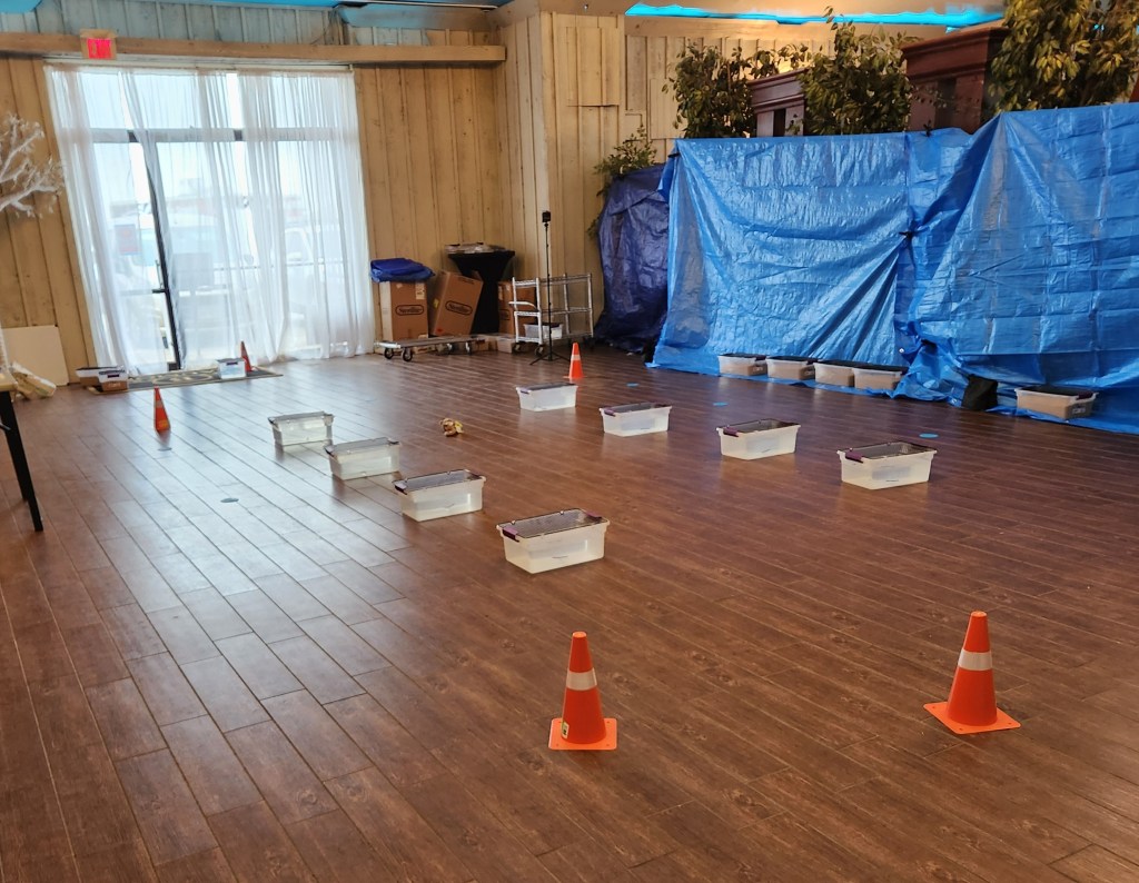 More About the Buried&nbsp;Element