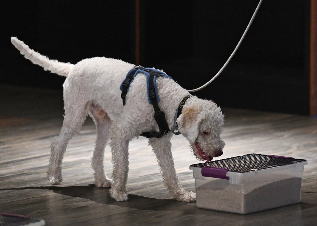 Making the Buried Element&nbsp;Easier