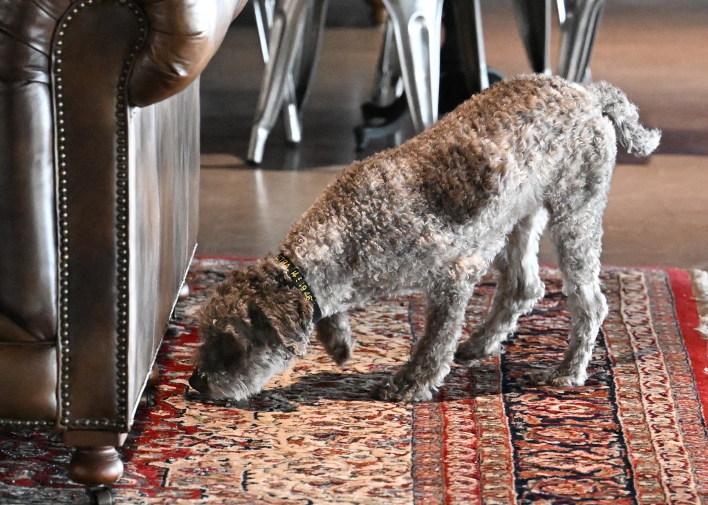 The Challenges of Master&nbsp;Interior