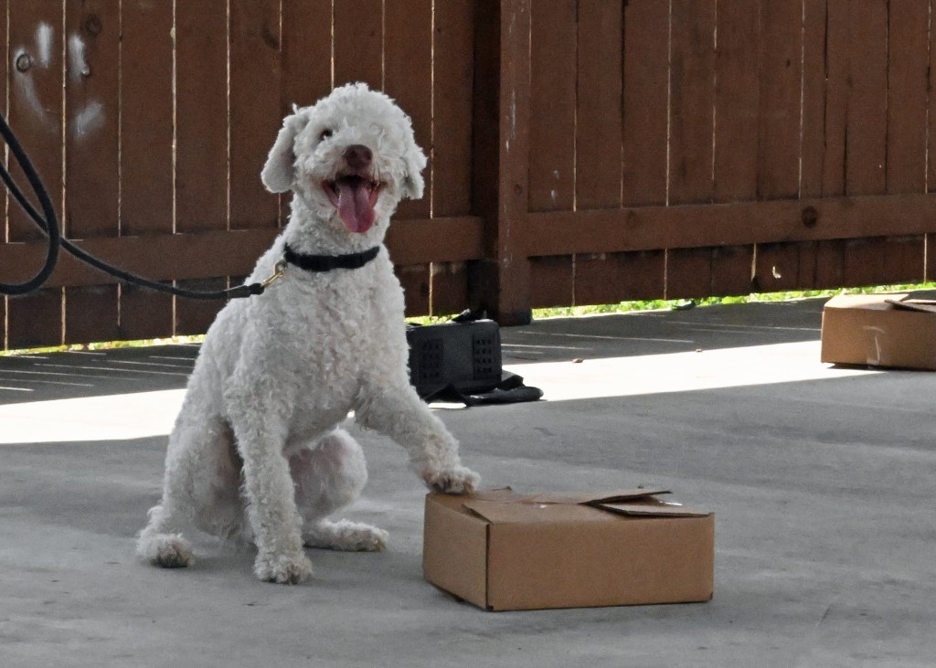 Why We Are All So Stupid At Trials Part&nbsp;Two