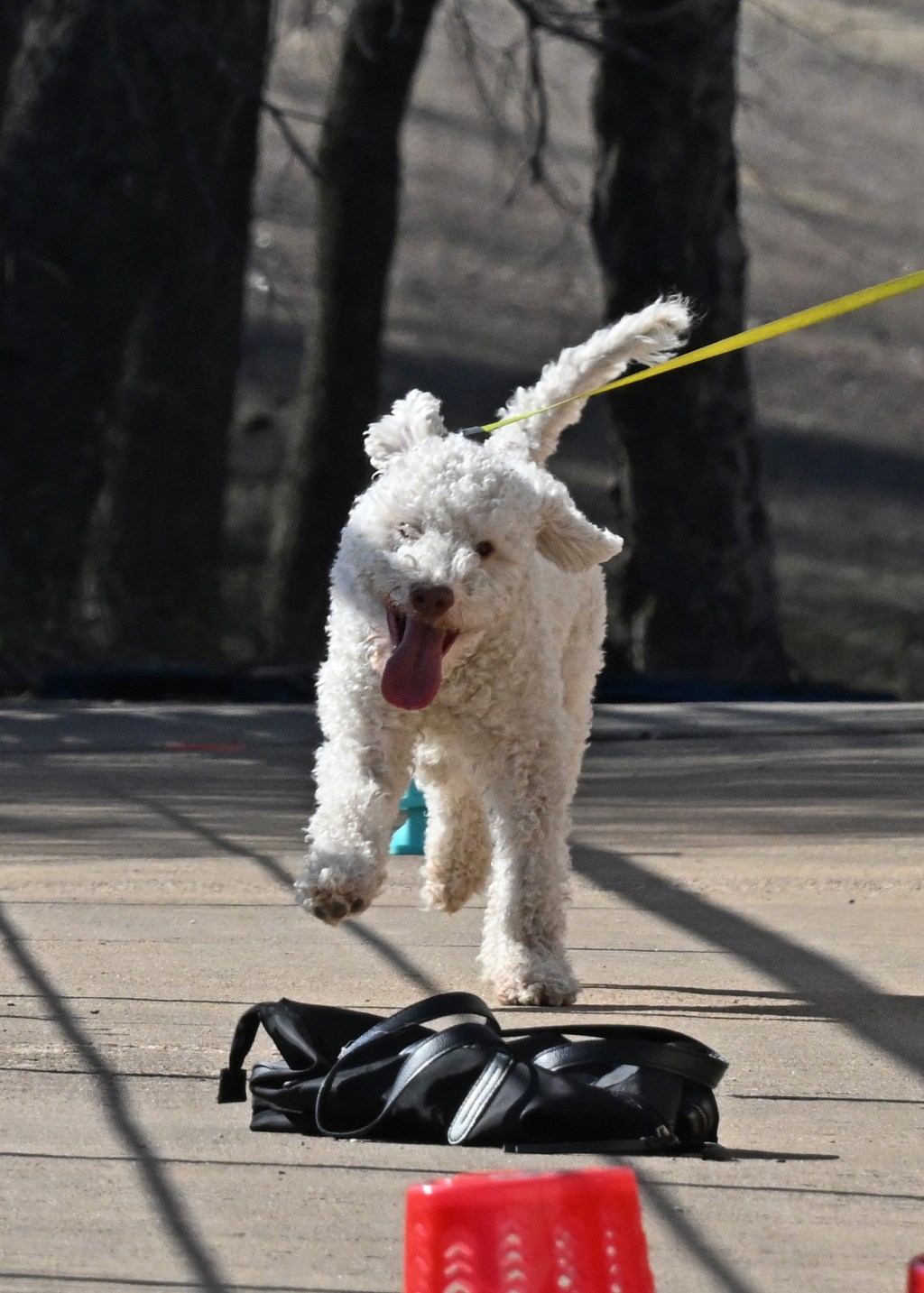 Debugging Containers & Odor&nbsp;Concentration