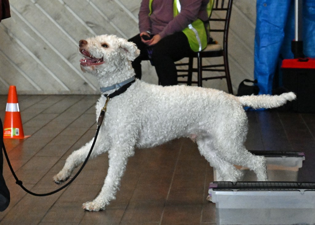 Preparing for the Master Buried&nbsp;Class