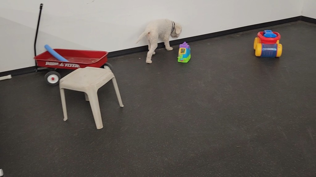 What I Wish Trial Chairs Knew (Part Two:&nbsp;Interiors)