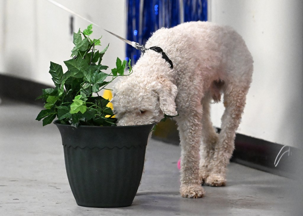 The Perfect Master Interior Search&nbsp;Areas