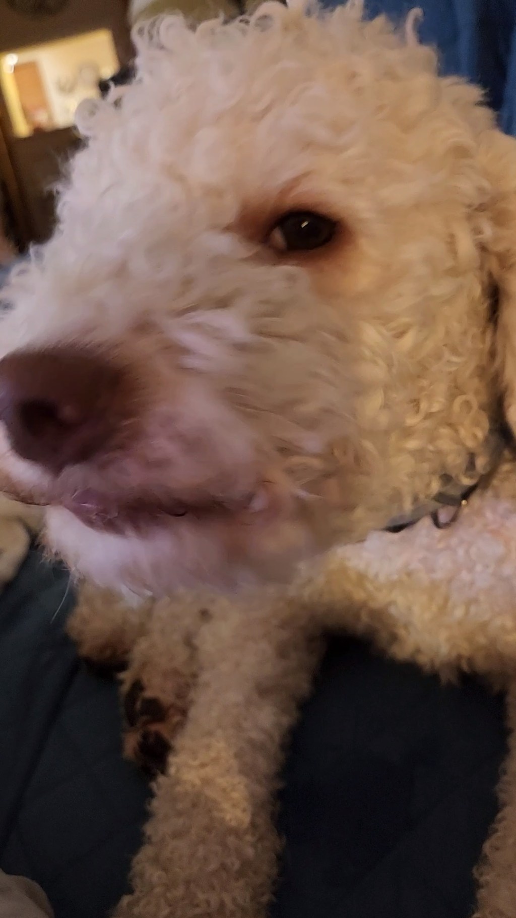 Read This Before You Go To Your Next&nbsp;Trial