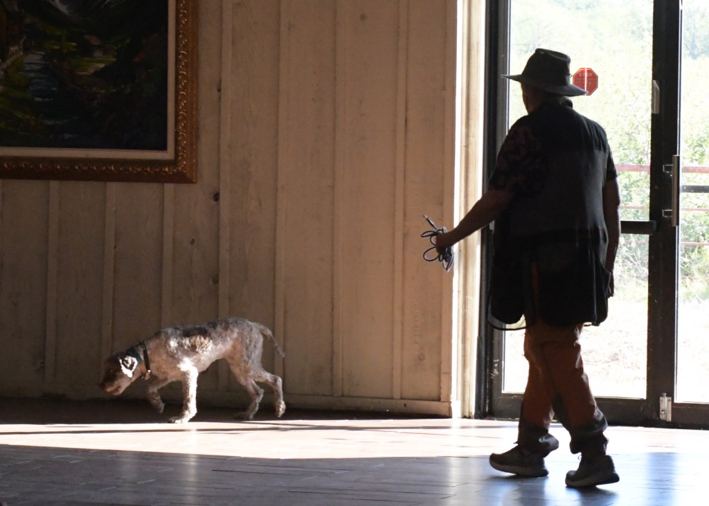 The Middle Road of Handling: How and When to Help Your&nbsp;Dog