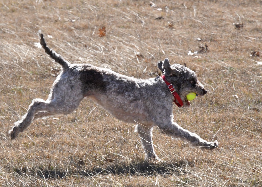 Don’t Make This Mistake at&nbsp;Trial