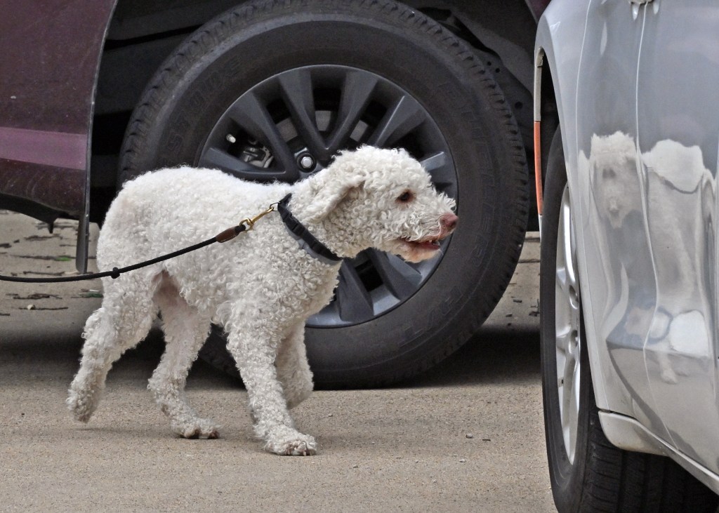 Vehicles, Some Bad Handling, and Some&nbsp;Communication