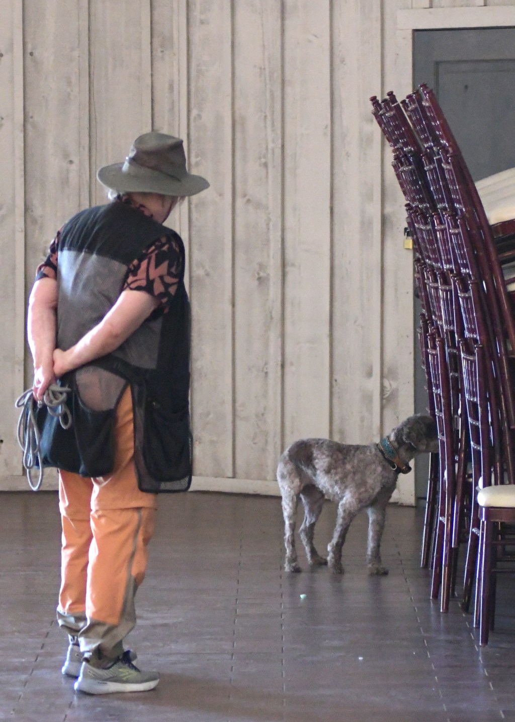 The Swinging Pendulum in Scent Work&nbsp;Handling