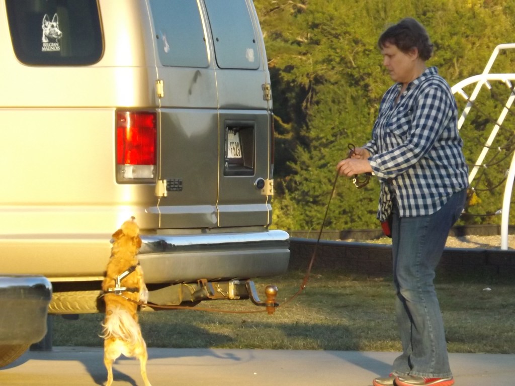 Wrapping Up 2024: Thank&nbsp;You!