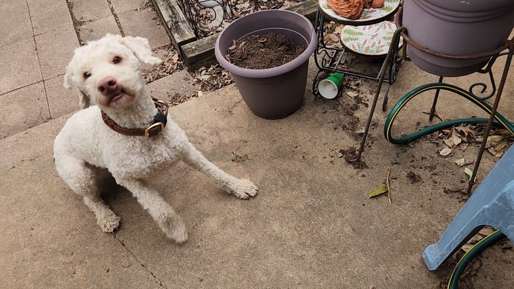 Working on Master Handler&nbsp;Discrimination