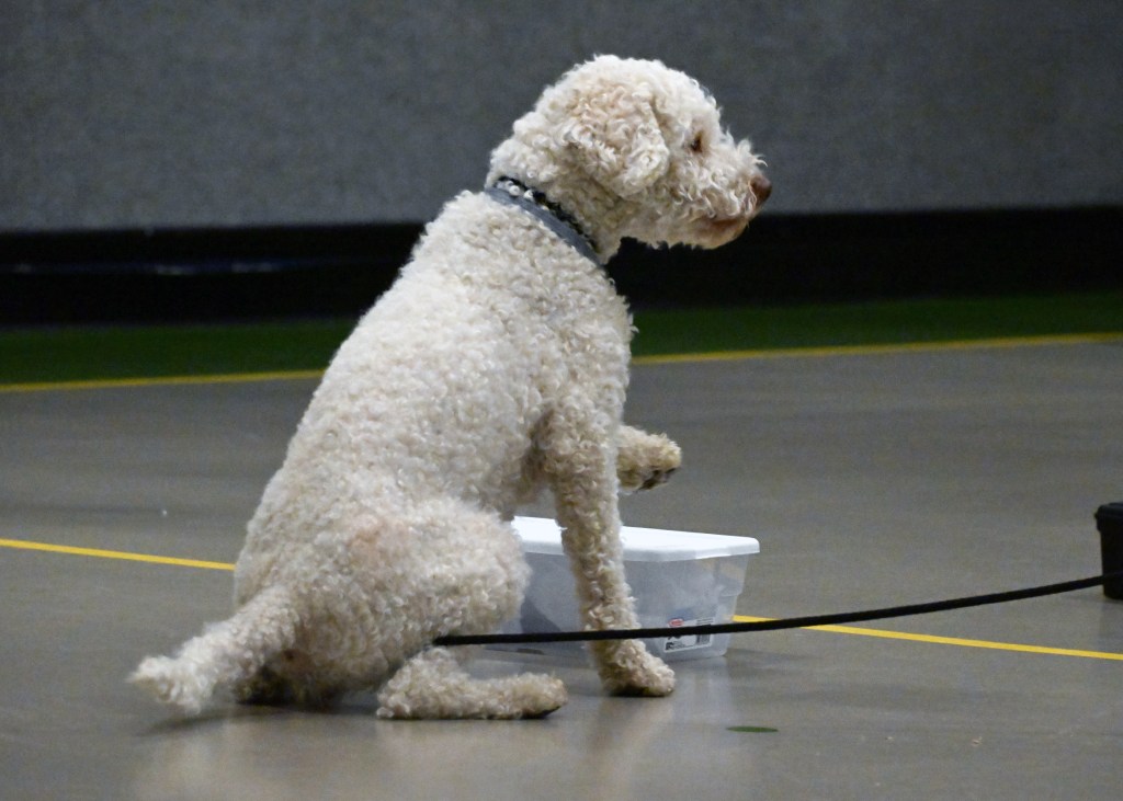 Containers (part one): Odor and the&nbsp;Box